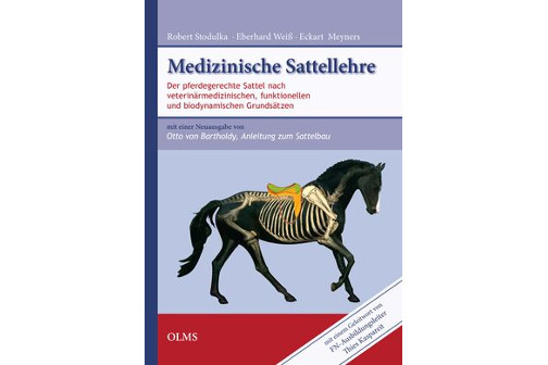 Medizinische Sattellehre