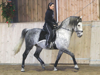 Pluto Biondella Show